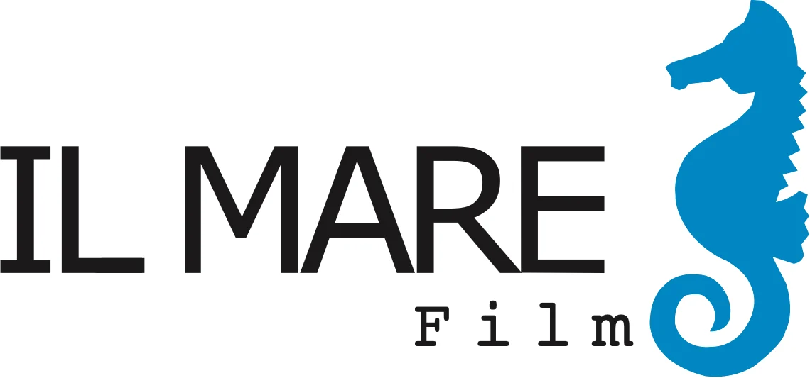 IL MARE FILM company logo